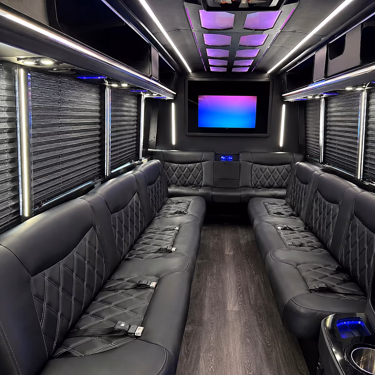 avondale party bus rentals inside