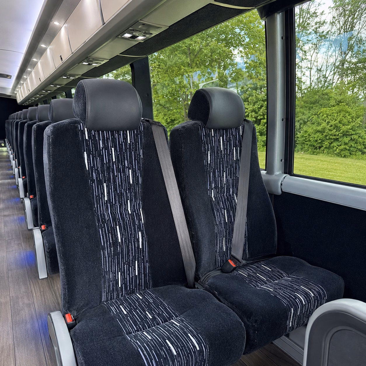 how the type of bus changes the price in avondale arizona
