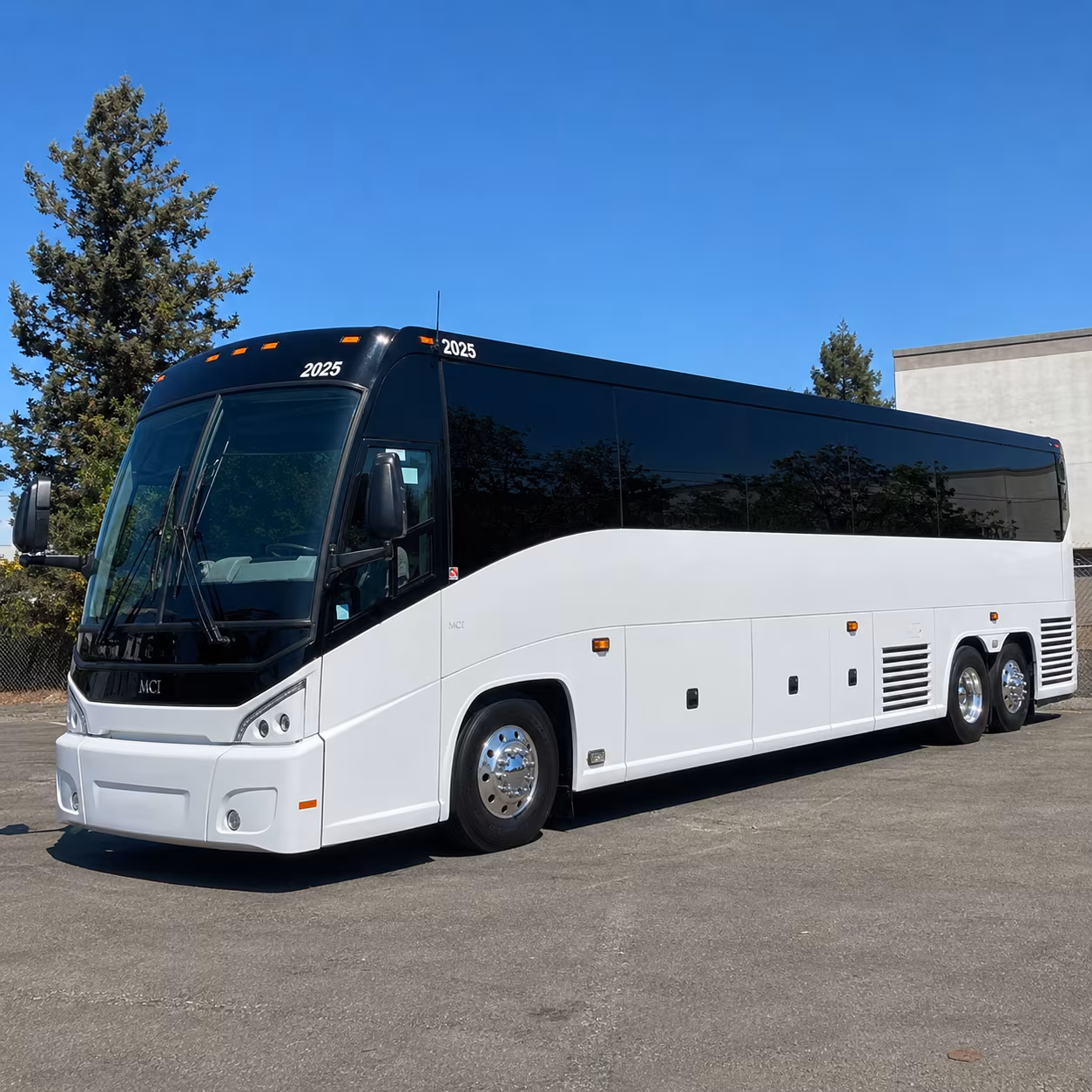 why avondale groups love booking long distance buses through avondalecharterbuscompany com
